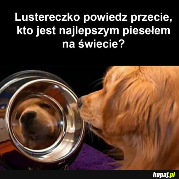 LUSTERECZKO POWIEDZ PRAWDĘ
