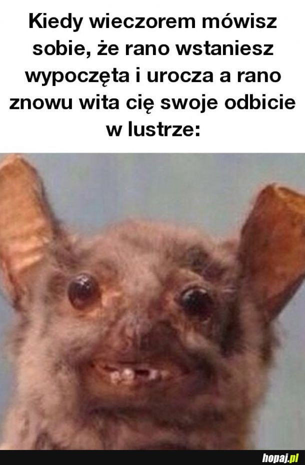 Jednak nie