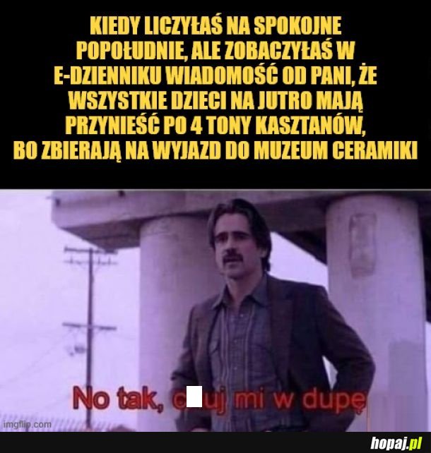 Kasztany.