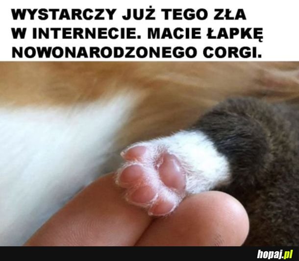 Nareszcie normalny mem