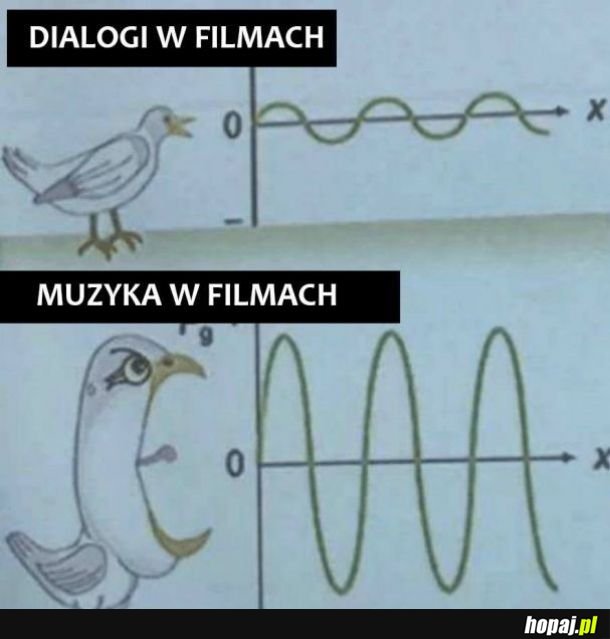 Filmy takie są