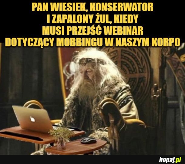Webinar. 