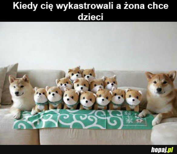 Pieseły