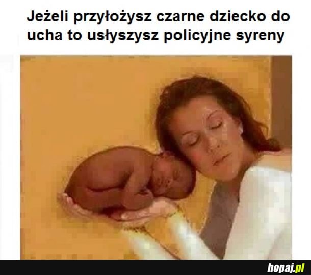 Zupełnie jak muszelka