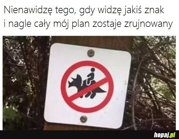 Głupie zakazy