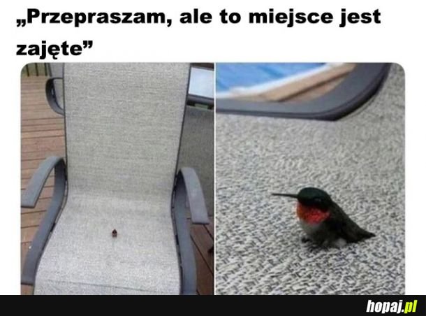  Zajęte 