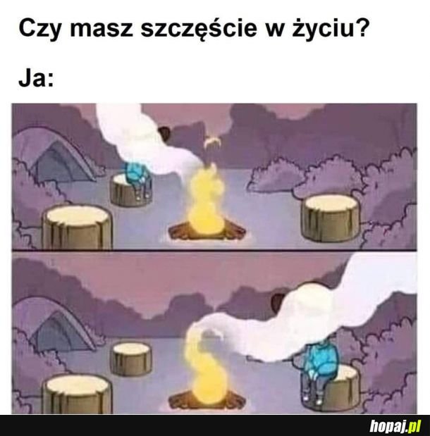  Życie 