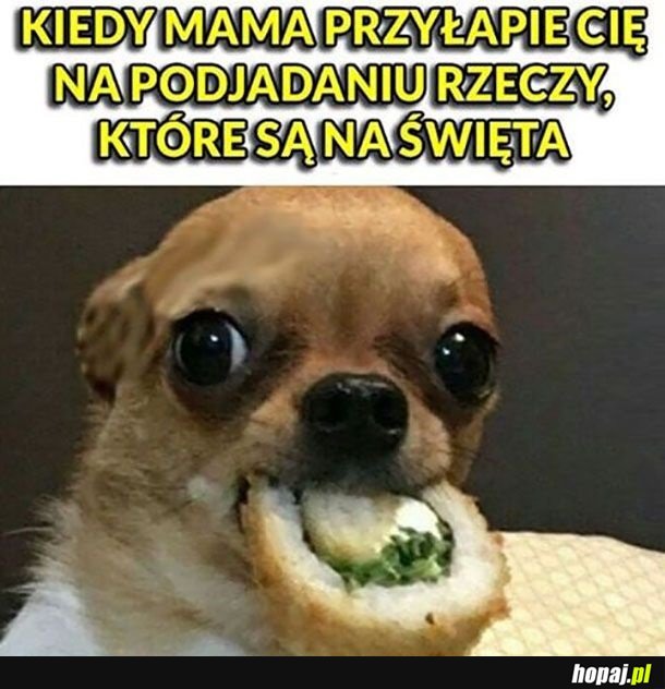 Podjadanie