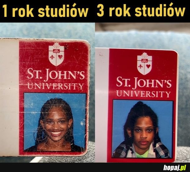 Studia