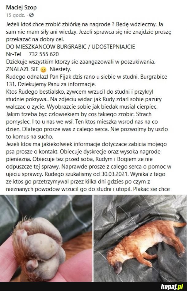 Kolejne bestialstwo. Udostępniajcie!