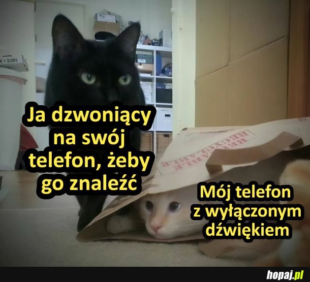 Kiedy szukasz telefonu