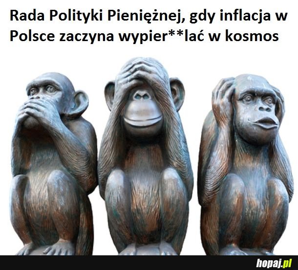 RPP