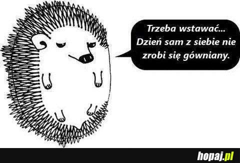 Trzeba wstawać