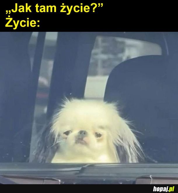 Życie