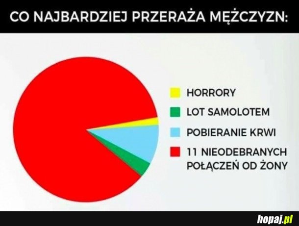 CO NAJBARDZIEJ PRZERAŻA MĘŻCZYZN