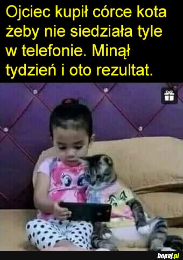 Kot też się wciągnął