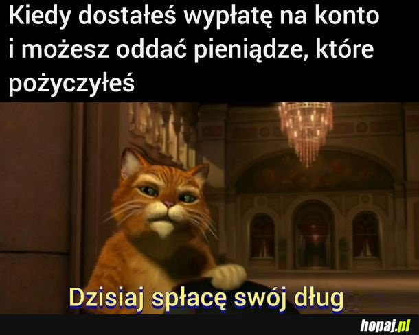 Dług