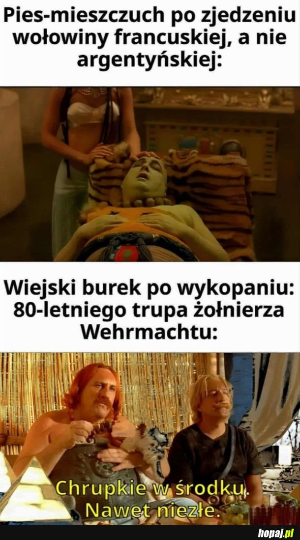 Typowo