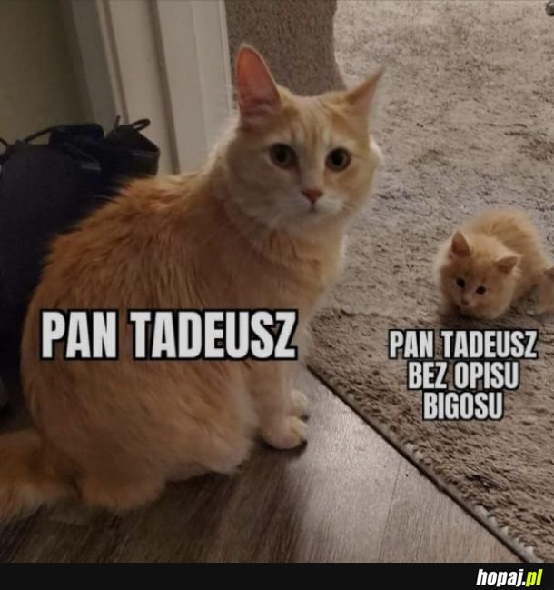 Pan Tadeusz