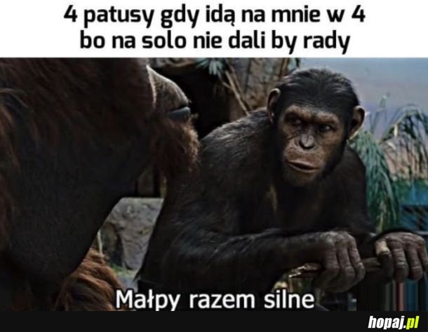 Typowe