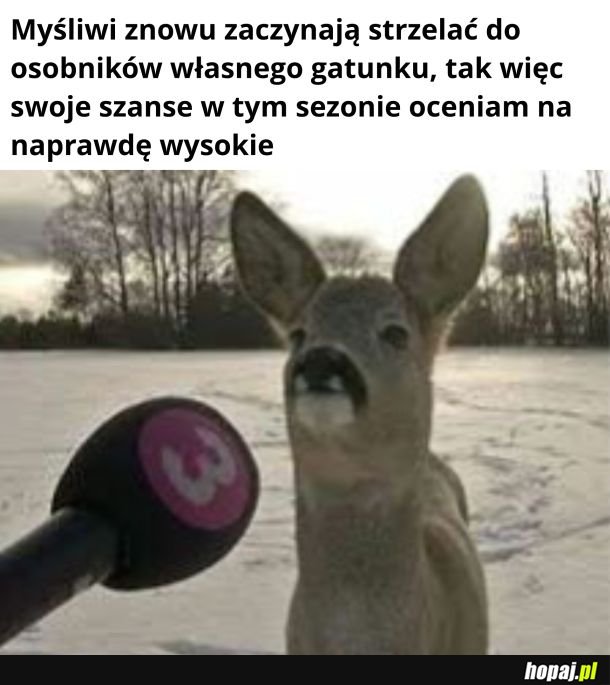 Myśliwi