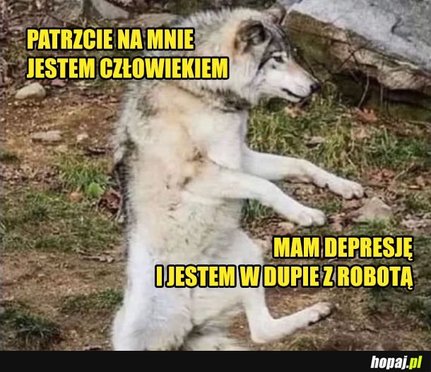Jestem człowiekiem