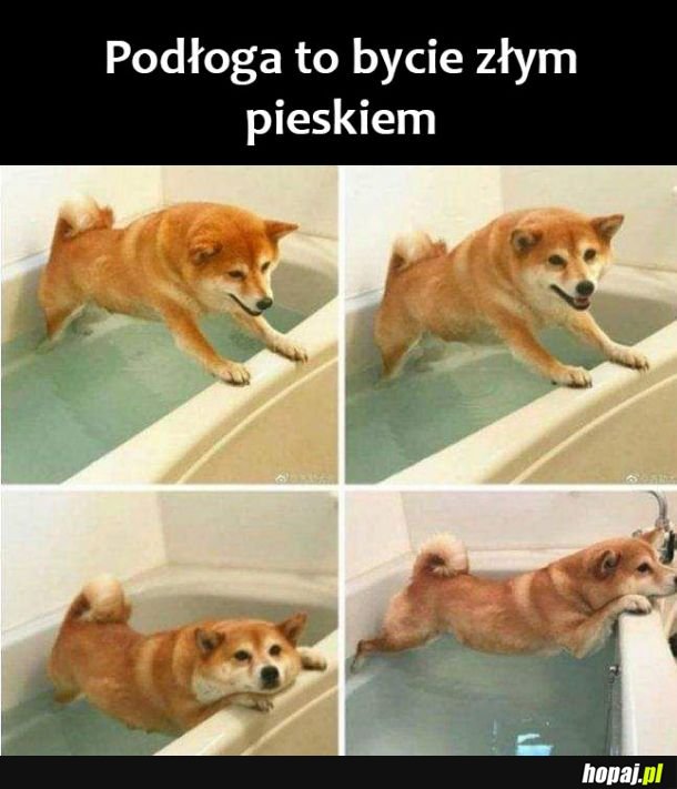 Dobry pieseł