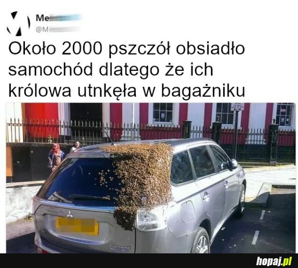 Lojalność