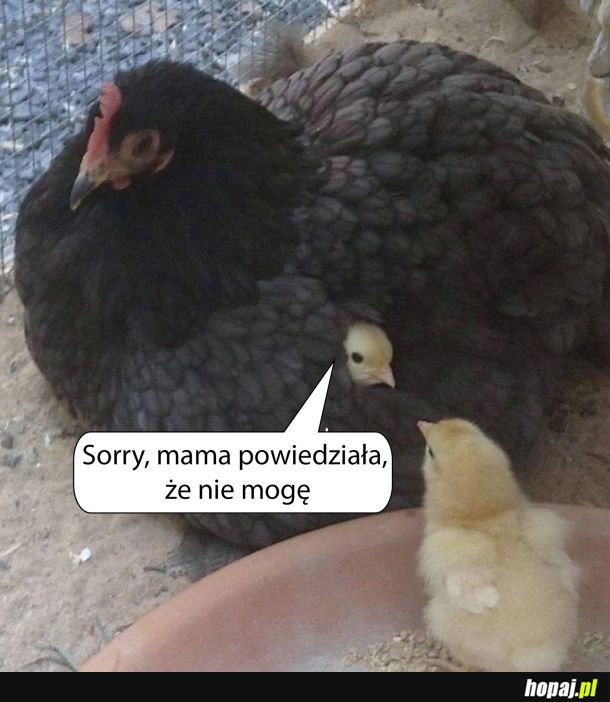 Nie mogę