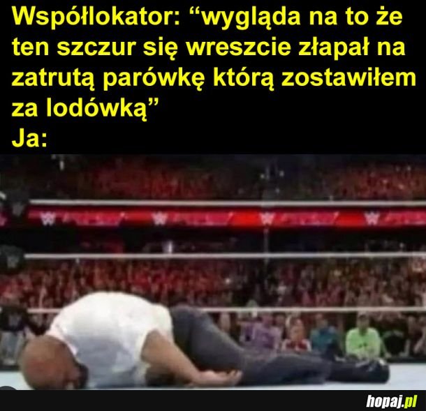 Pułapka
