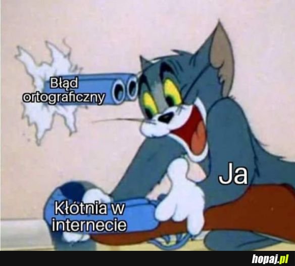 Tak to wygląda