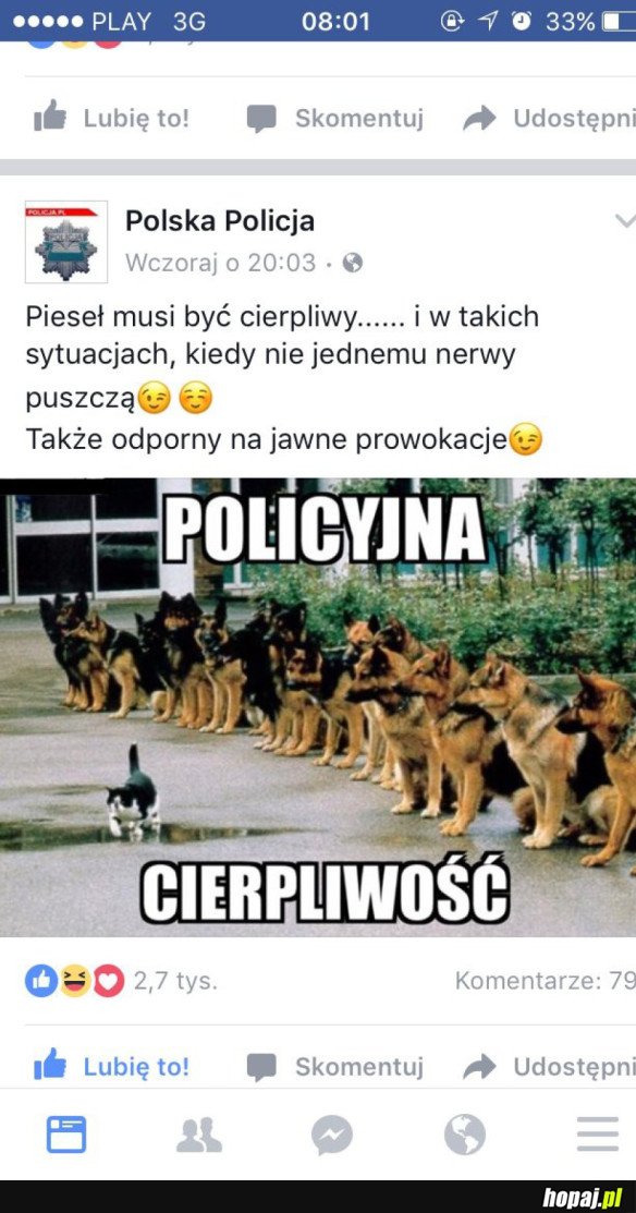 POLSKA POLICJA ZNOWU ŚMIESZKUJE