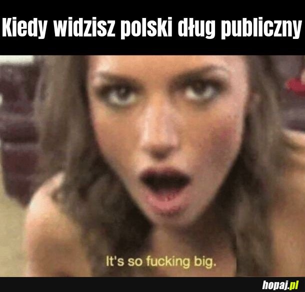 Dług publiczny