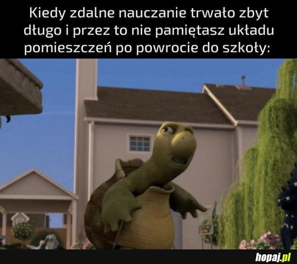 Już wszystko zapomniałem