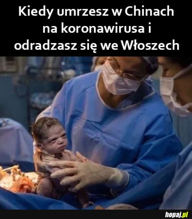 Wolne żarty