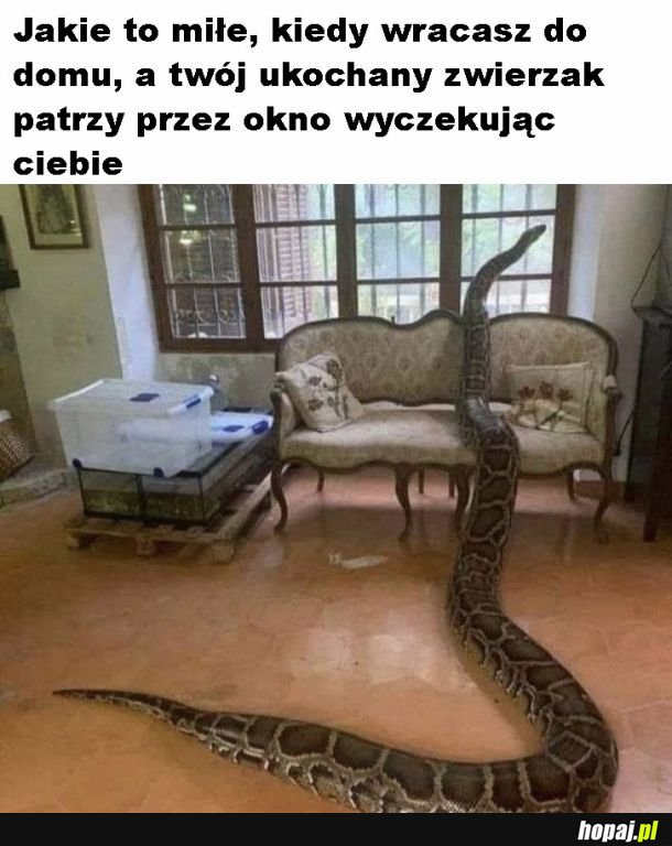 Miłe uczucie
