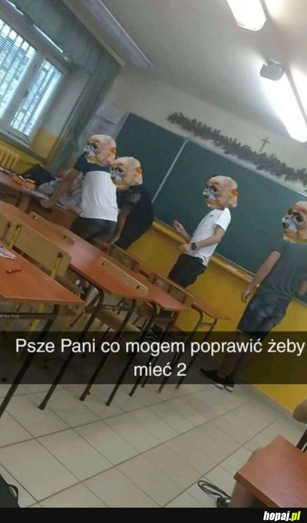 Piotery czerwcowe