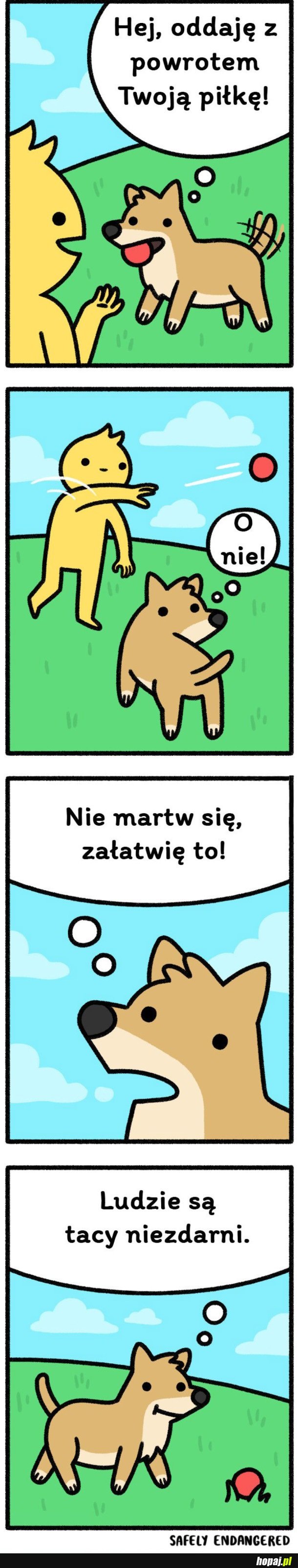 ODDAJĘ TWOJĄ PIŁKĘ