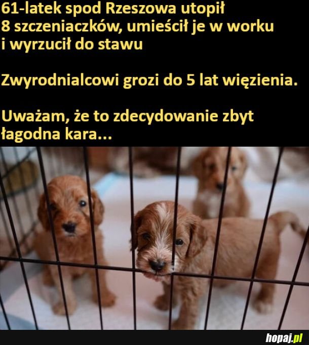 Jak można być takim zwyrolem...