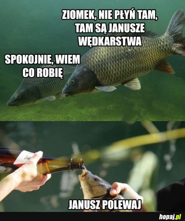 Janusze wędkarstwa