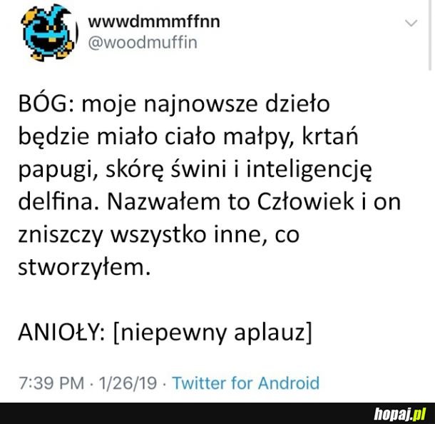 Dzieło stworzenia