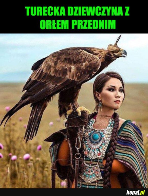 PIĘKNE ZDJĘCIE