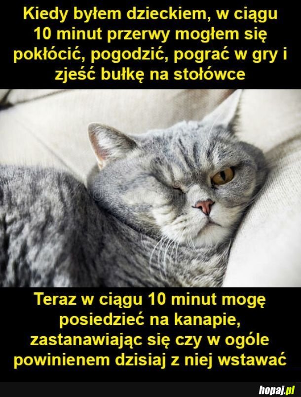 Brak czasu