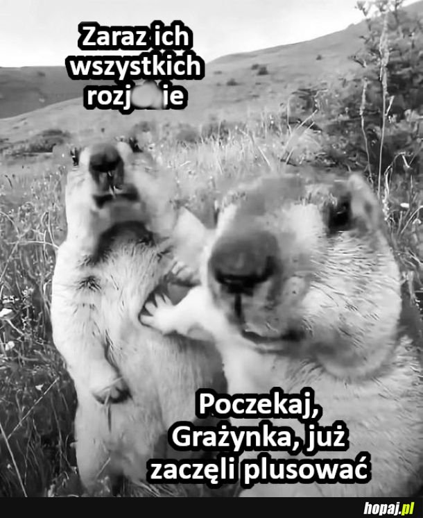 Macie szczęście
