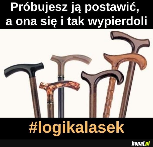 #logikalasek