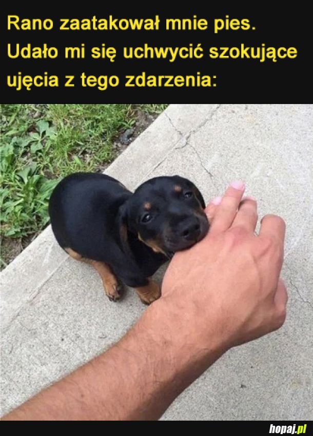 Uwaga drastyczne sceny