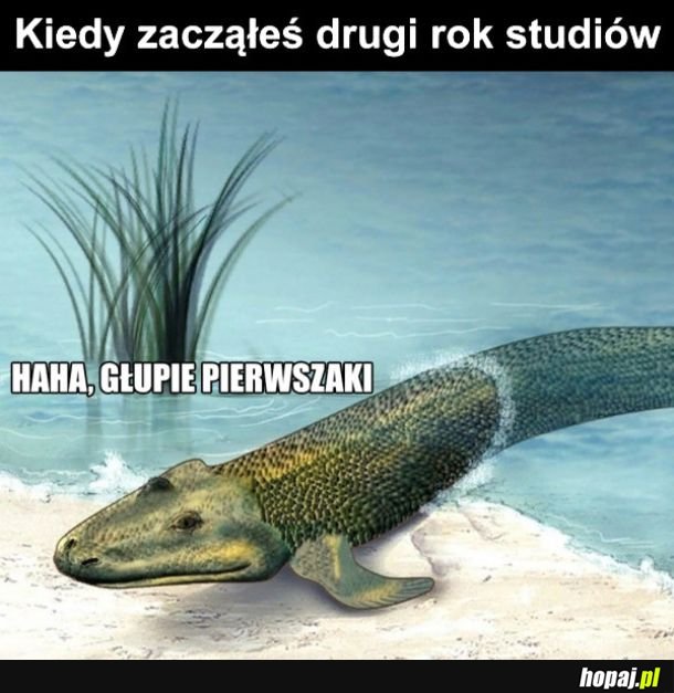 Drugi rok studiów