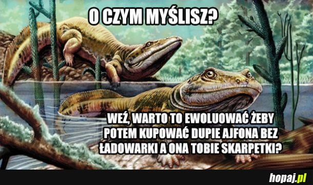 Nie warto było