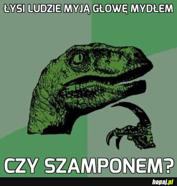 PYTANIE NA DZIŚ