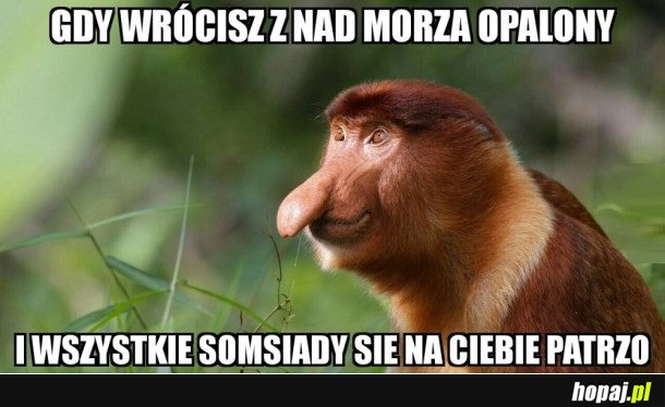PO URŁOPIE